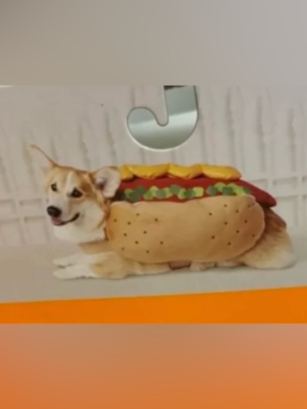 New dog size large LED light up hotdog costume